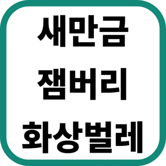 새만금 잼버리 화상벌레, 빛에 이끌려 야영장으로 유입…퇴치하는 법은?