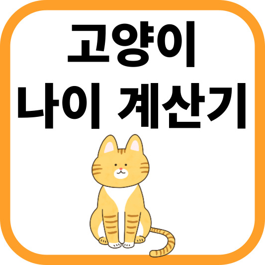 고양이 나이 계산기: 간단한 입력으로 알아보는 우리 냥냥이의 실제 나이