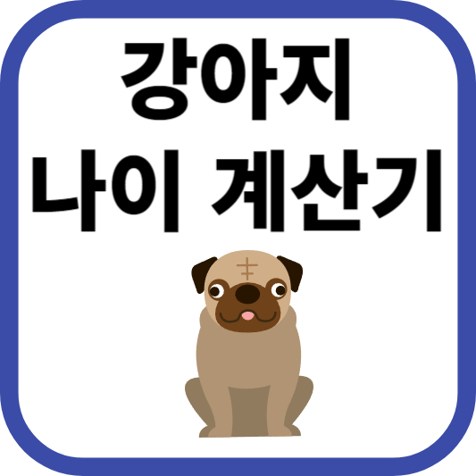 강아지 나이 계산기: 반려견의 나이를 사람 나이로 알아보기