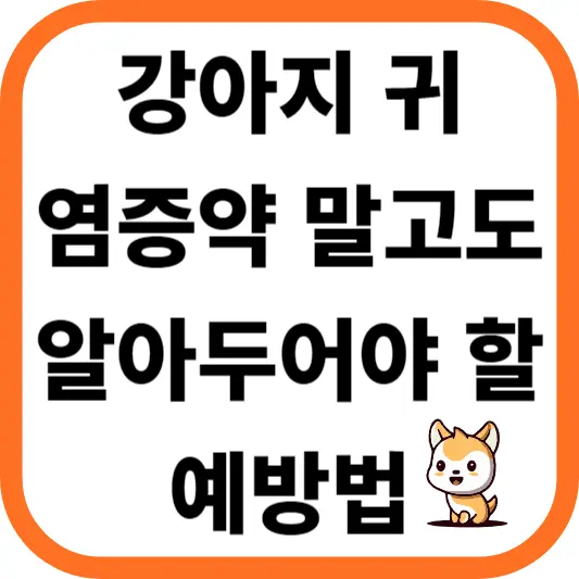 강아지 귀 염증약 말고도 알아두어야 할 예방법