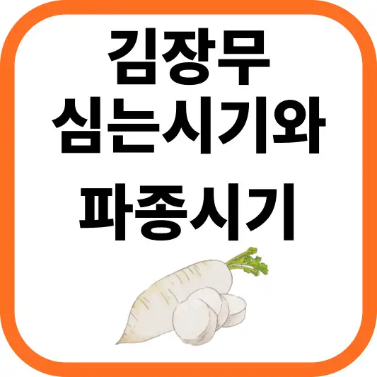 김장무 심는시기와 김장무우 파종시기