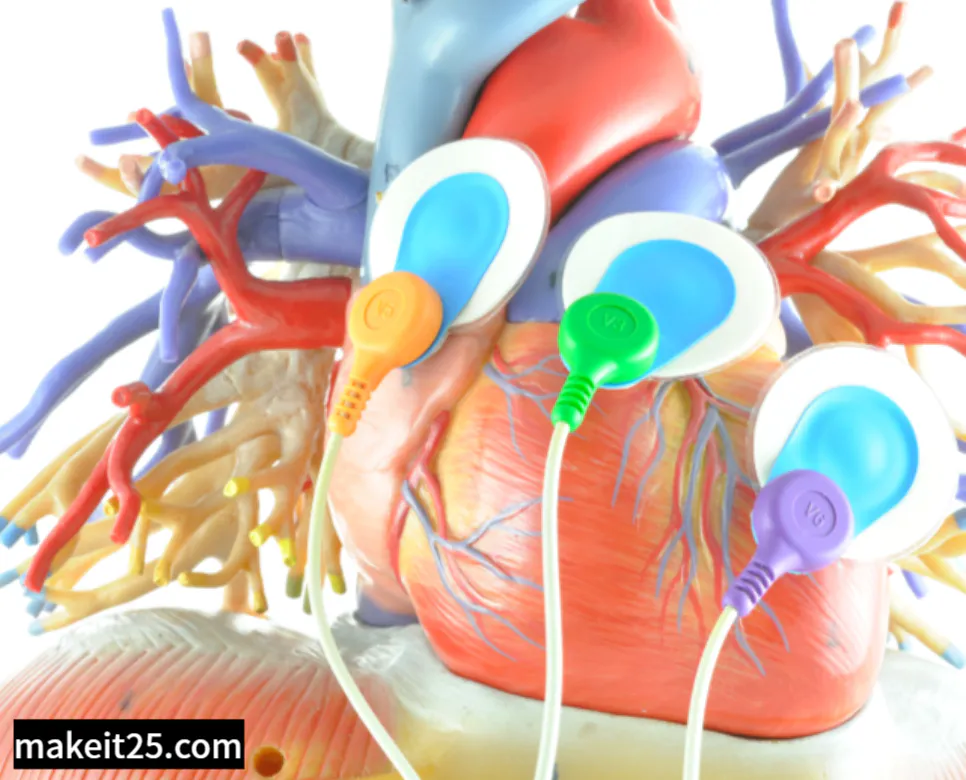 의학용어 MCA LT MFC MTP NS NOS NTM NR 정리