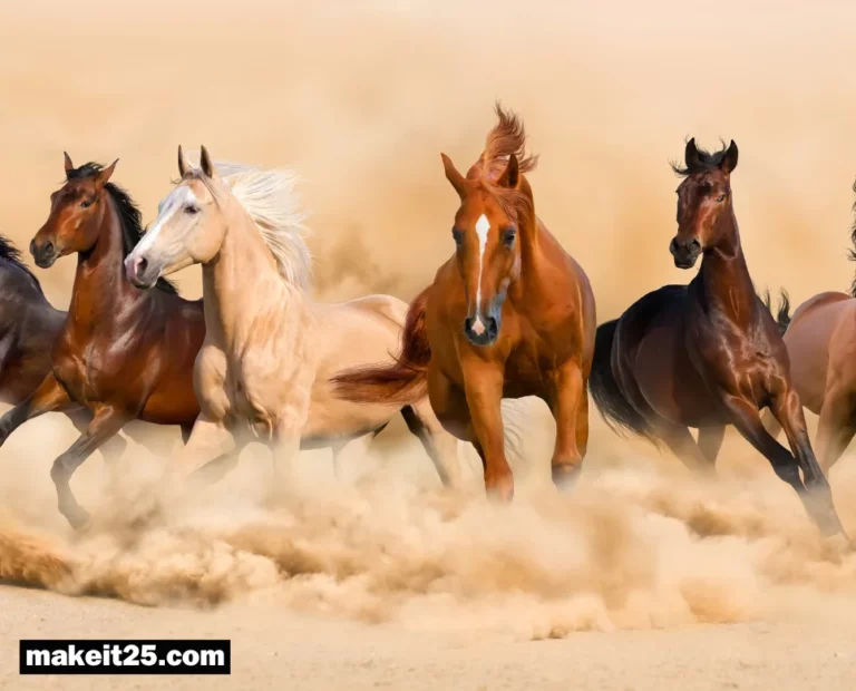 반안살 뜻, 천살 뜻, 화개살 뜻: 성공과 불운을 가르는 신살