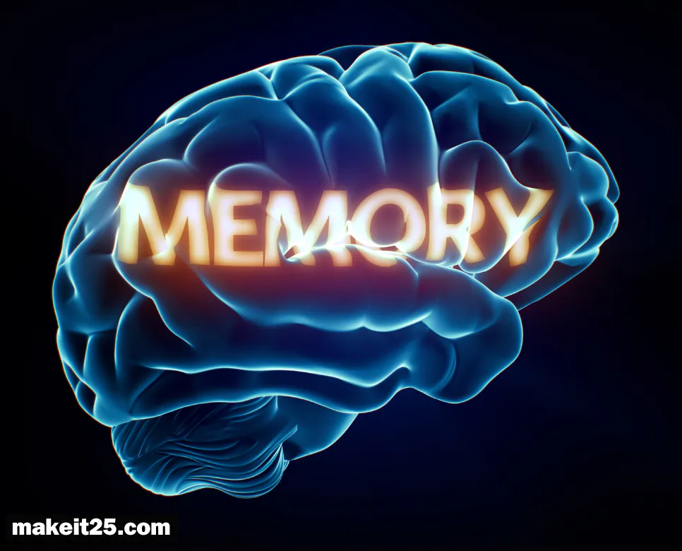 메모리(memory)